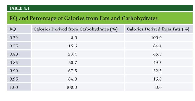 Does The Fat Burning Zone Work