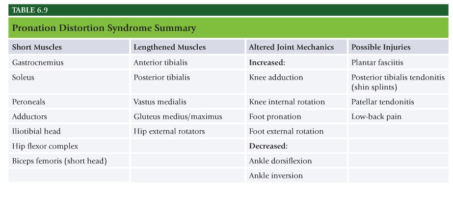 Nasm Muscle Imbalance Chart