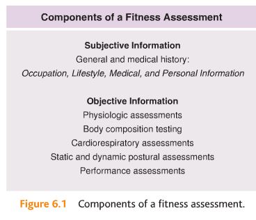 Nasm Periodization Chart