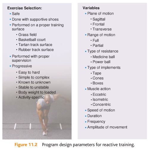 Sports Performance Bulletin - Strength conditioning & flexibility -  Plyometric training: increase your speed and power